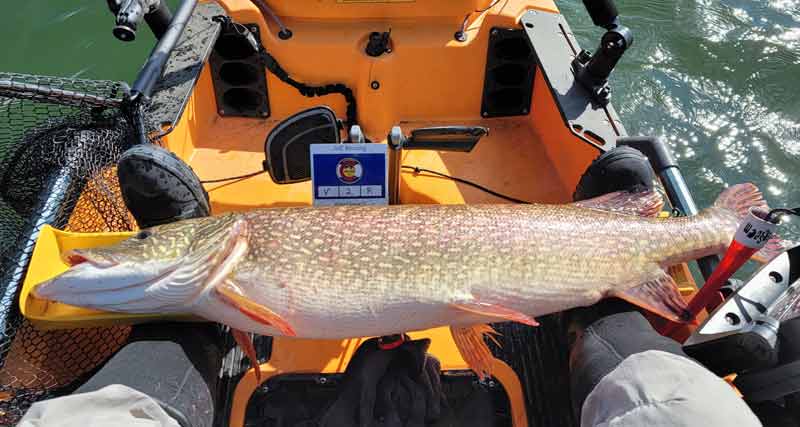 Pike1