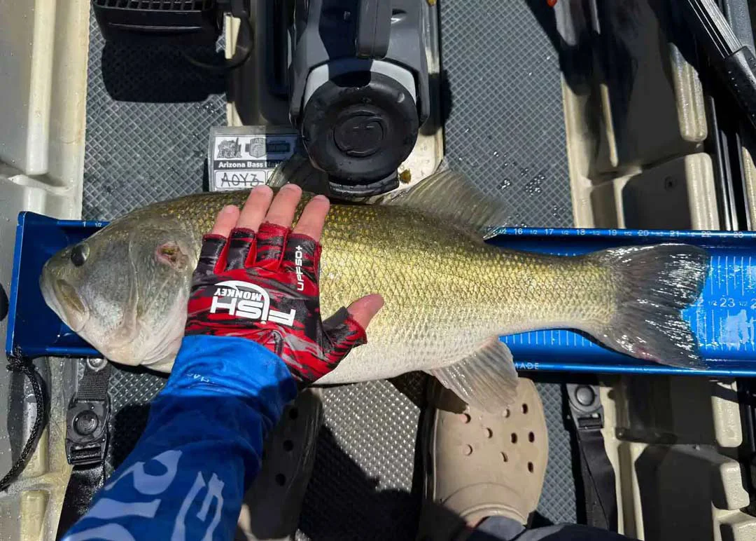 Thomas R. holds a bass on the Ketch X board as he measures it during a kayak tournament.